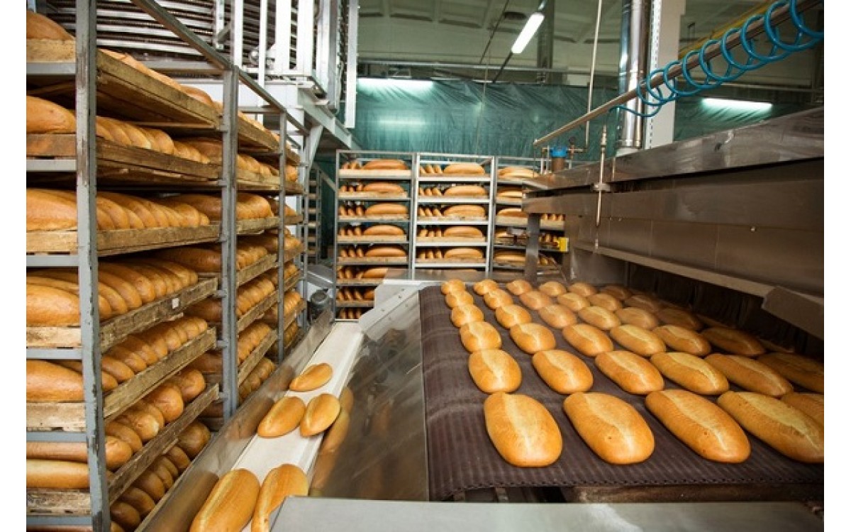 Mở l&ograve; b&aacute;nh m&igrave; v&agrave; những điều bạn cần biết